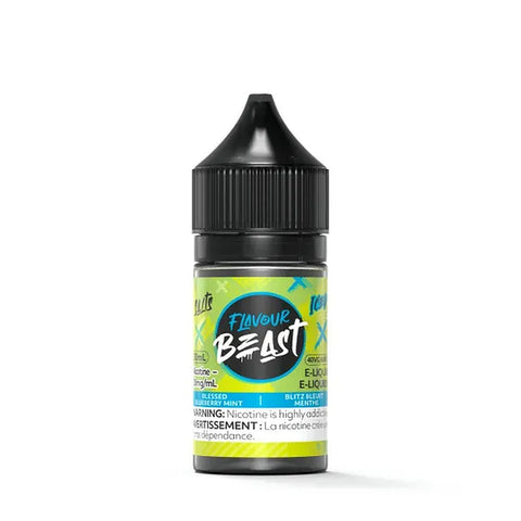 BLESSED BLUEBERRY MINT ICED by FLAVOUR BEAST SALTS